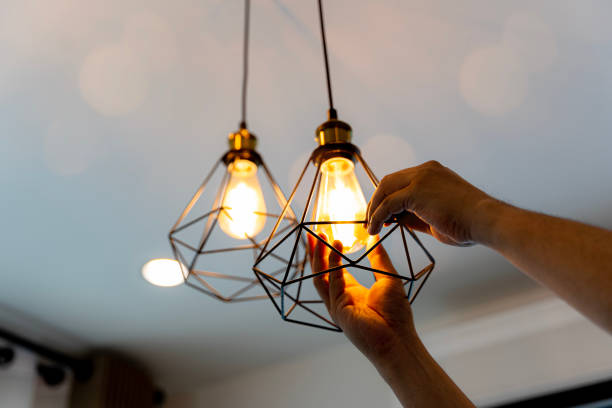 Best Emergency Electrician Near Me  in Burton, MI